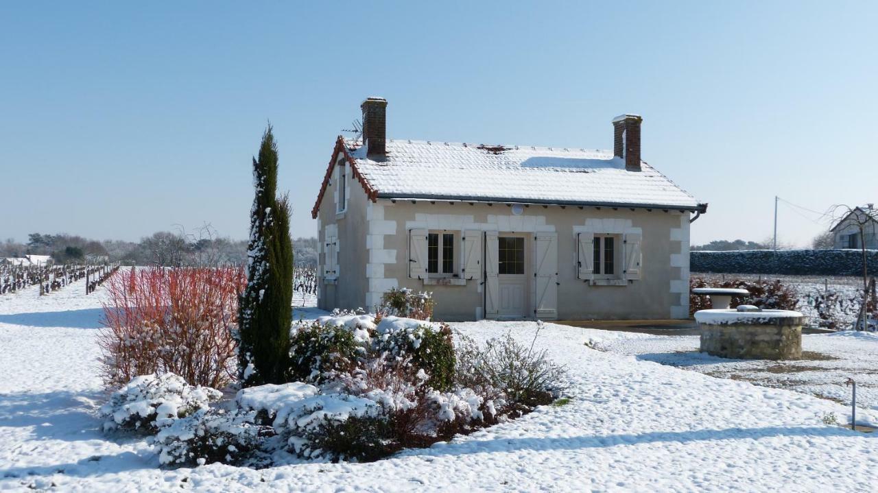 L'Ecrin Au Coeur Des Vignes Villa Saint Georges sur Cher Bagian luar foto