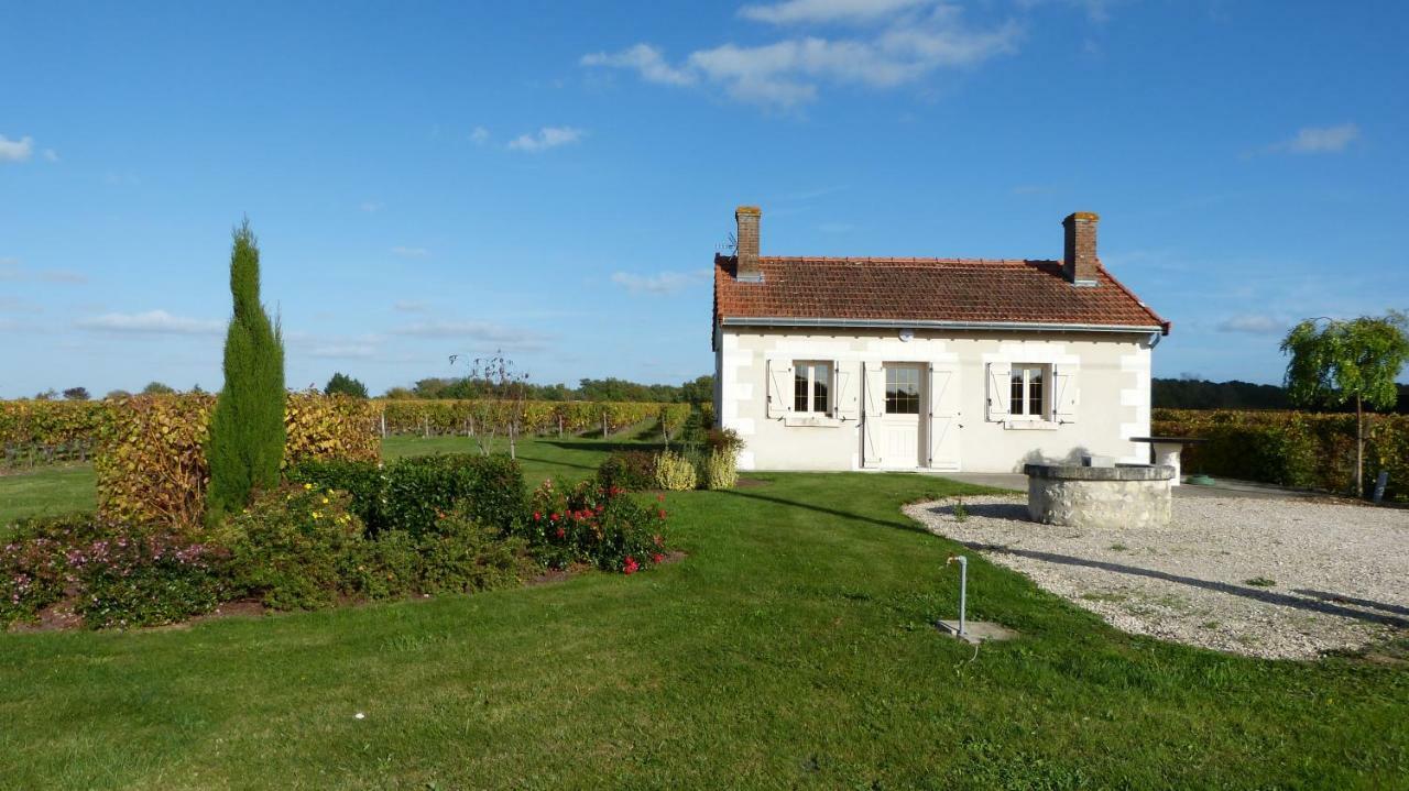 L'Ecrin Au Coeur Des Vignes Villa Saint Georges sur Cher Bagian luar foto